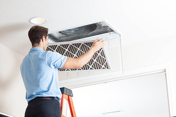 Best Affordable HVAC services  in Nicholls, GA